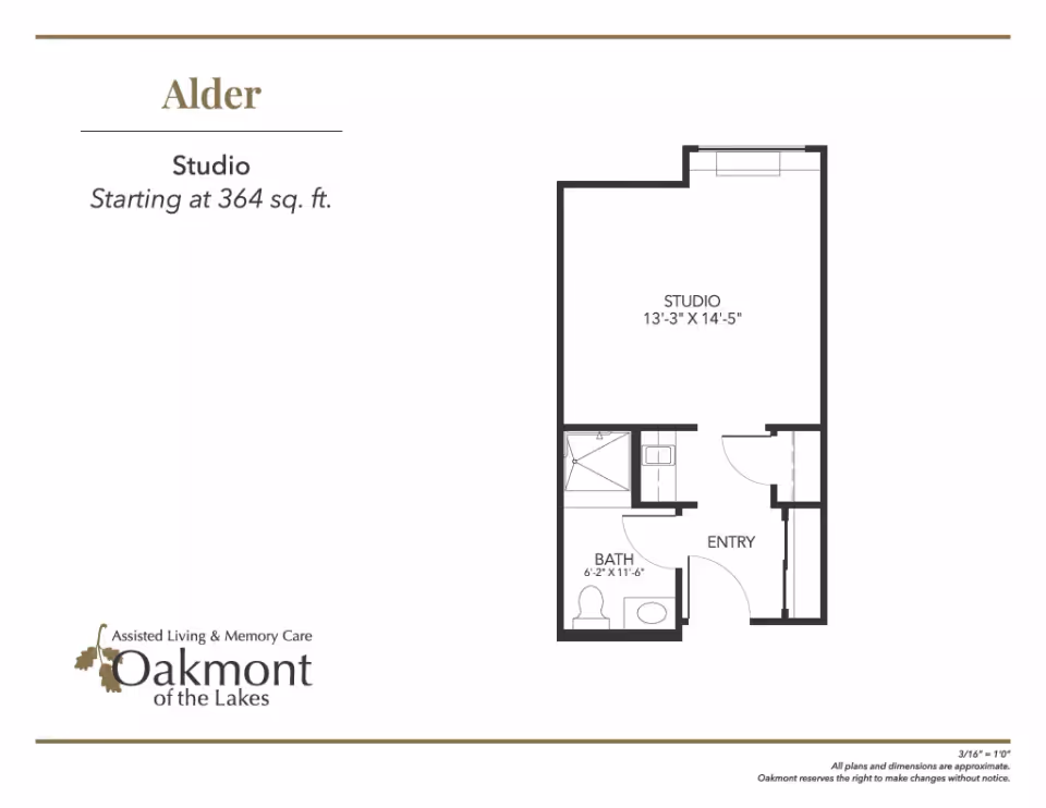 Floor plan titled 'Alder' for a studio at Oakmont of the Lakes showing the studio area, entry and bathroom (starting at 364 sq. ft.).