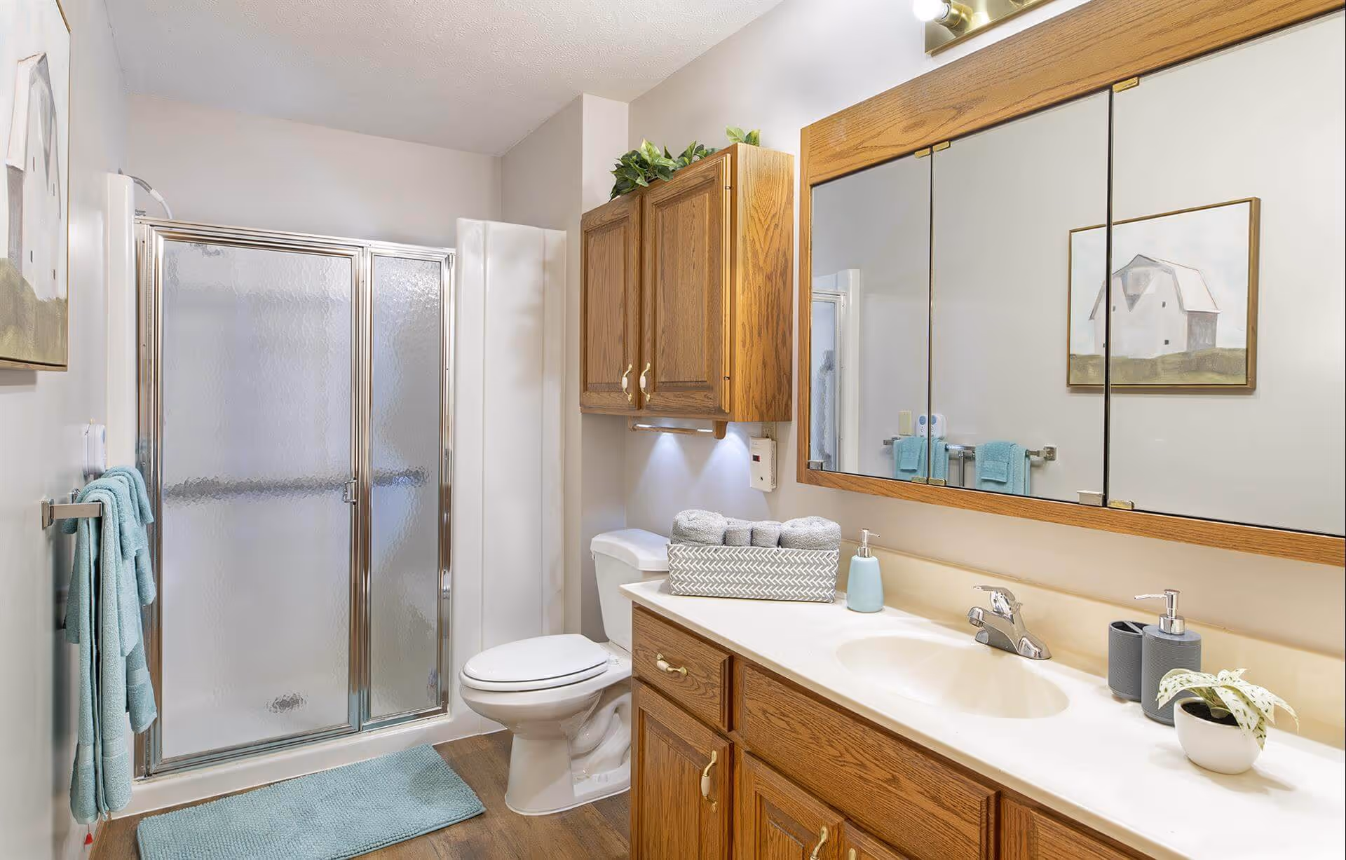 Bright bathroom with a glass shower, toilet, wooden vanity with sink and a large mirrored medicine cabinet.