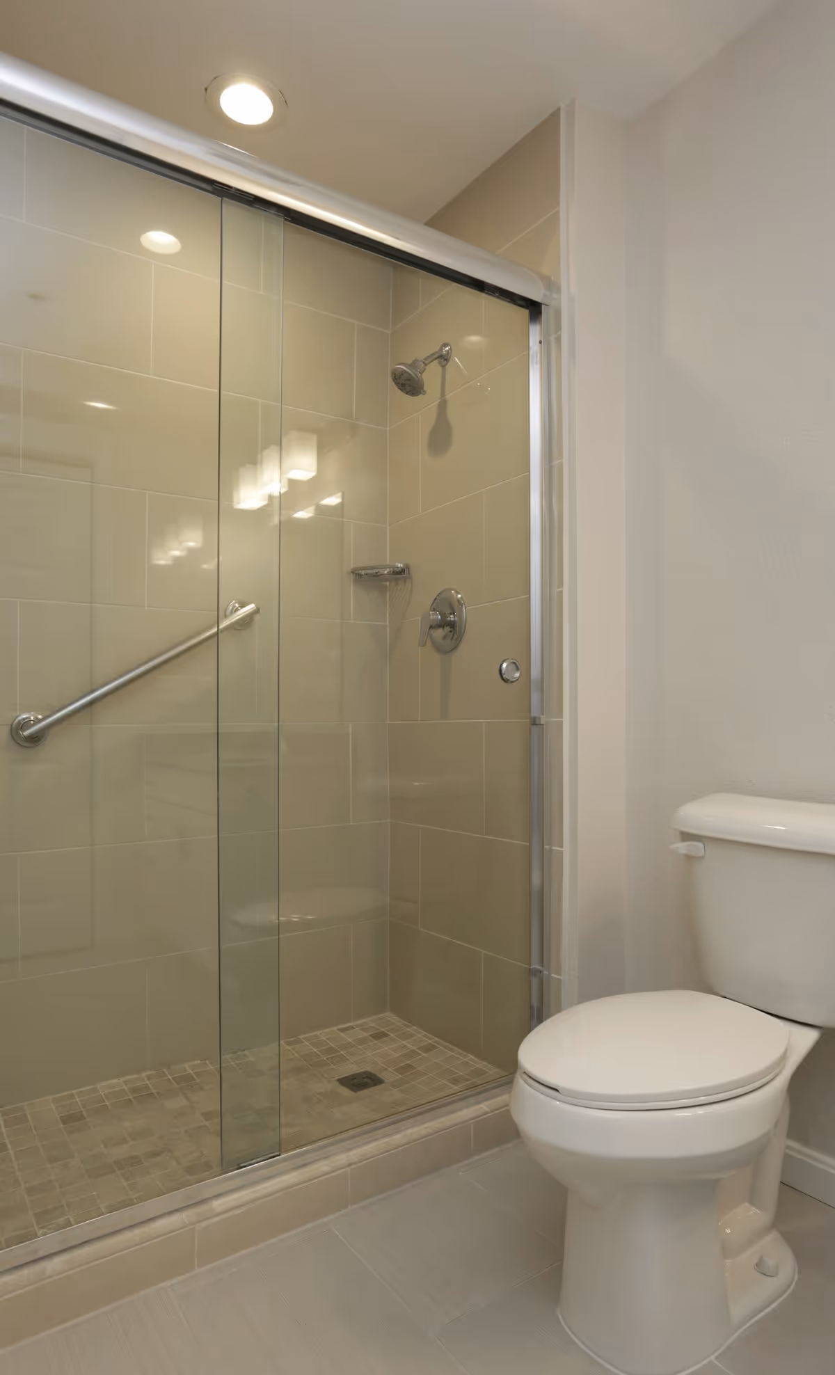 Bathroom with a glass-enclosed tiled shower featuring a grab bar and a white toilet.
