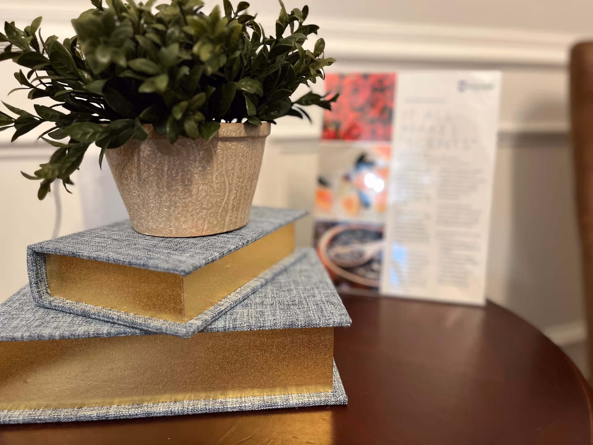 A small potted green plant placed on top of two stacked decorative books with blue covers and gold edges, sitting on a wooden table. In the background, there is a blurred informational brochure and part of a brown chair.