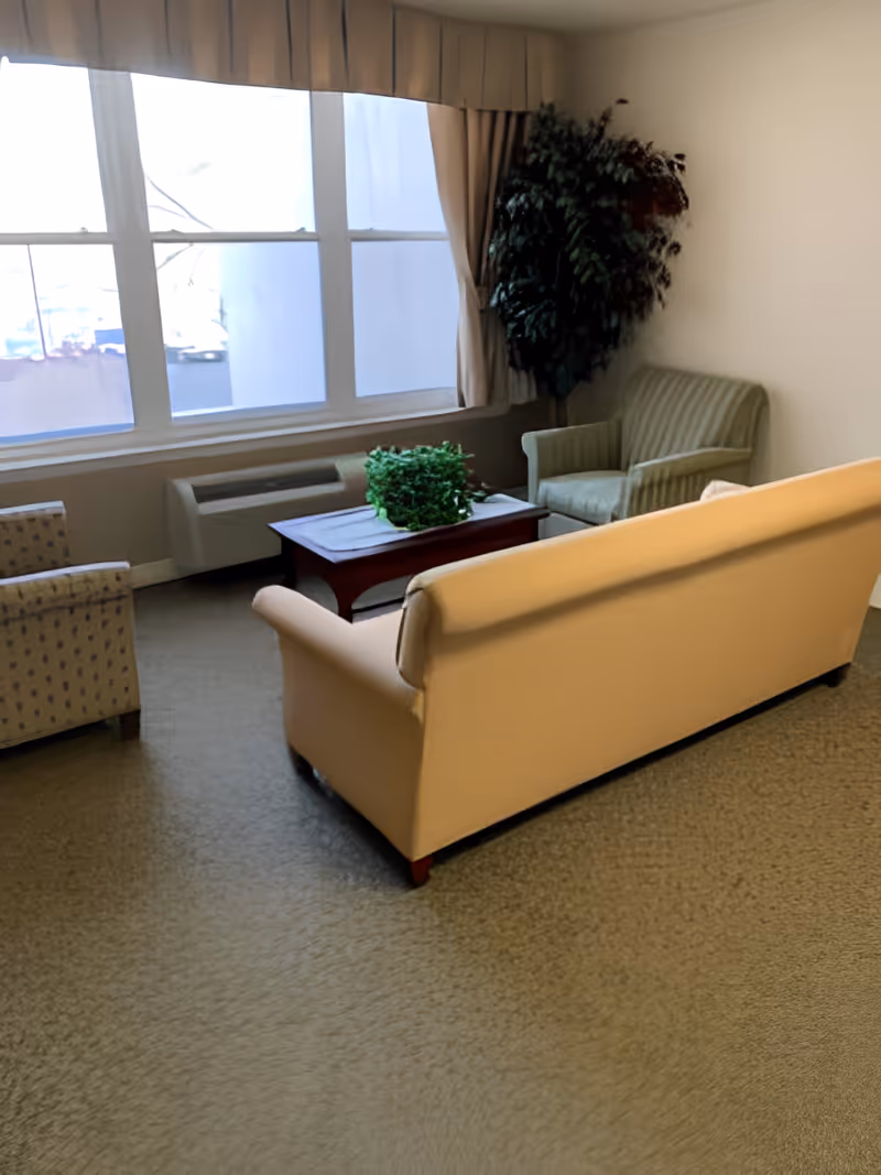 A small living room area with a beige sofa, two armchairs, a wooden coffee table with a green plant on it, a large window with beige curtains, and a tall potted plant in the corner.