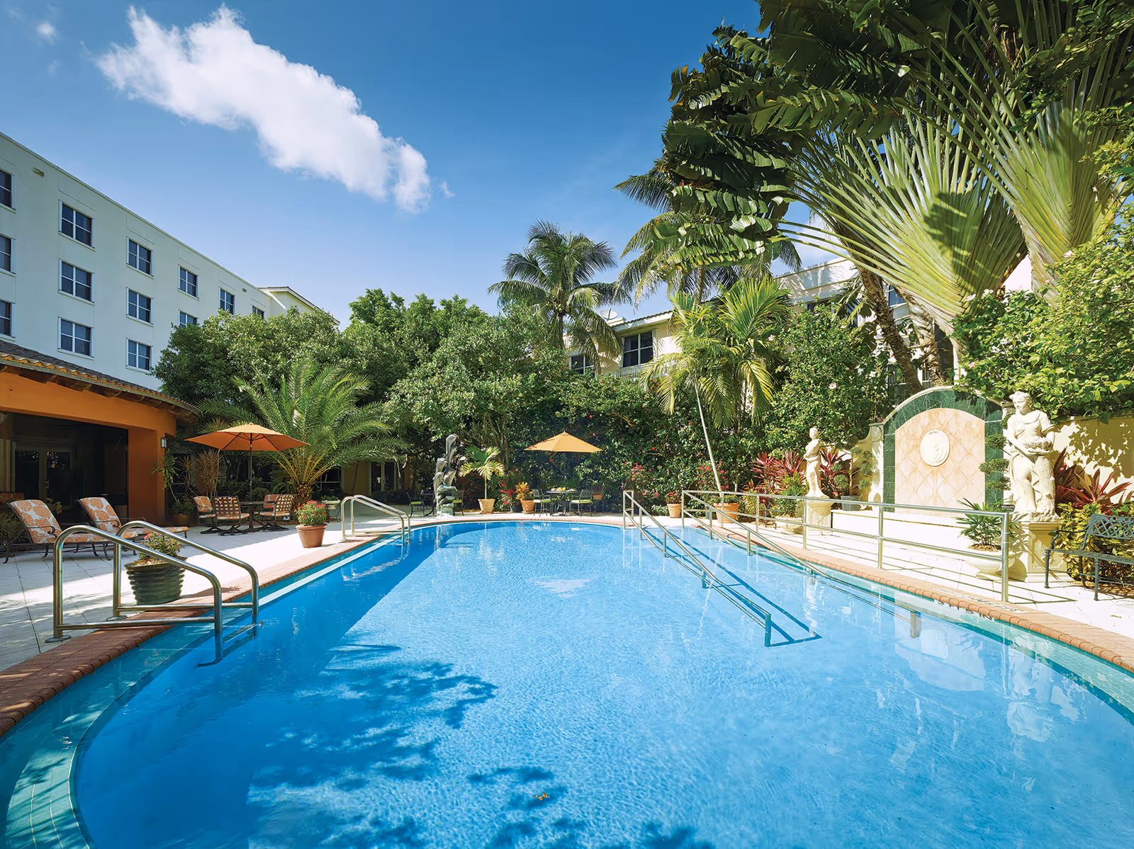 Sunny outdoor pool area with palm trees, lounge chairs, and umbrellas.