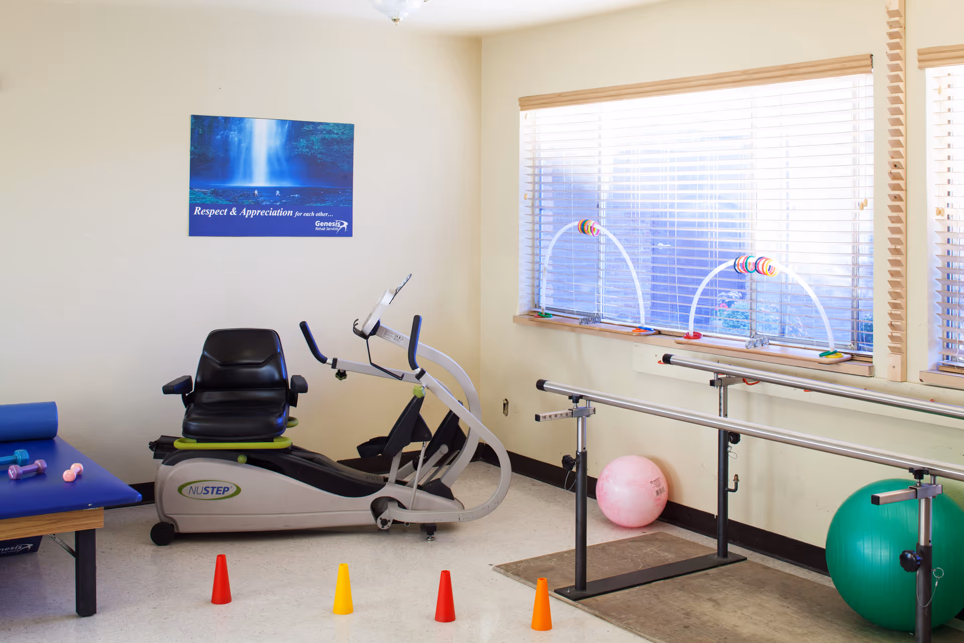Exercise/therapy room with a recumbent NuStep machine, parallel bars, exercise balls, small cones and hand weights by a window.