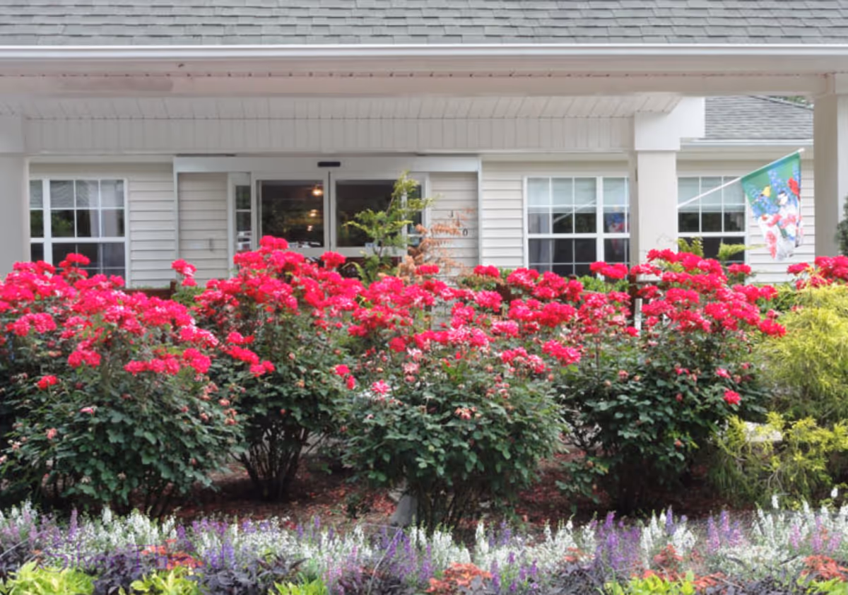 Front entrance of a building with bright pink rose bushes and a covered porch.