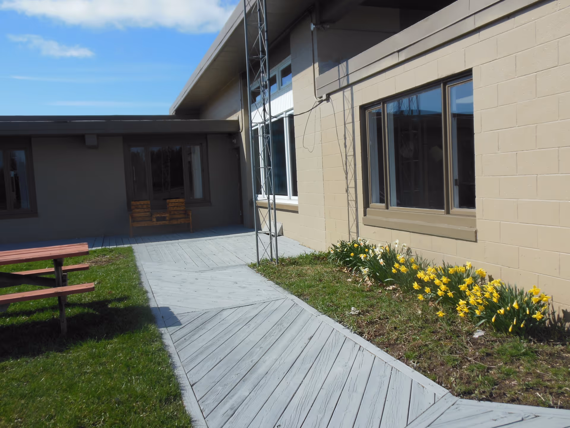 Outdoor courtyard walkway beside a beige senior living building with windows, yellow daffodils, and a picnic table.
