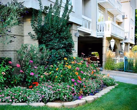 Flower-filled garden bed in front of a multi-story building with balconies.