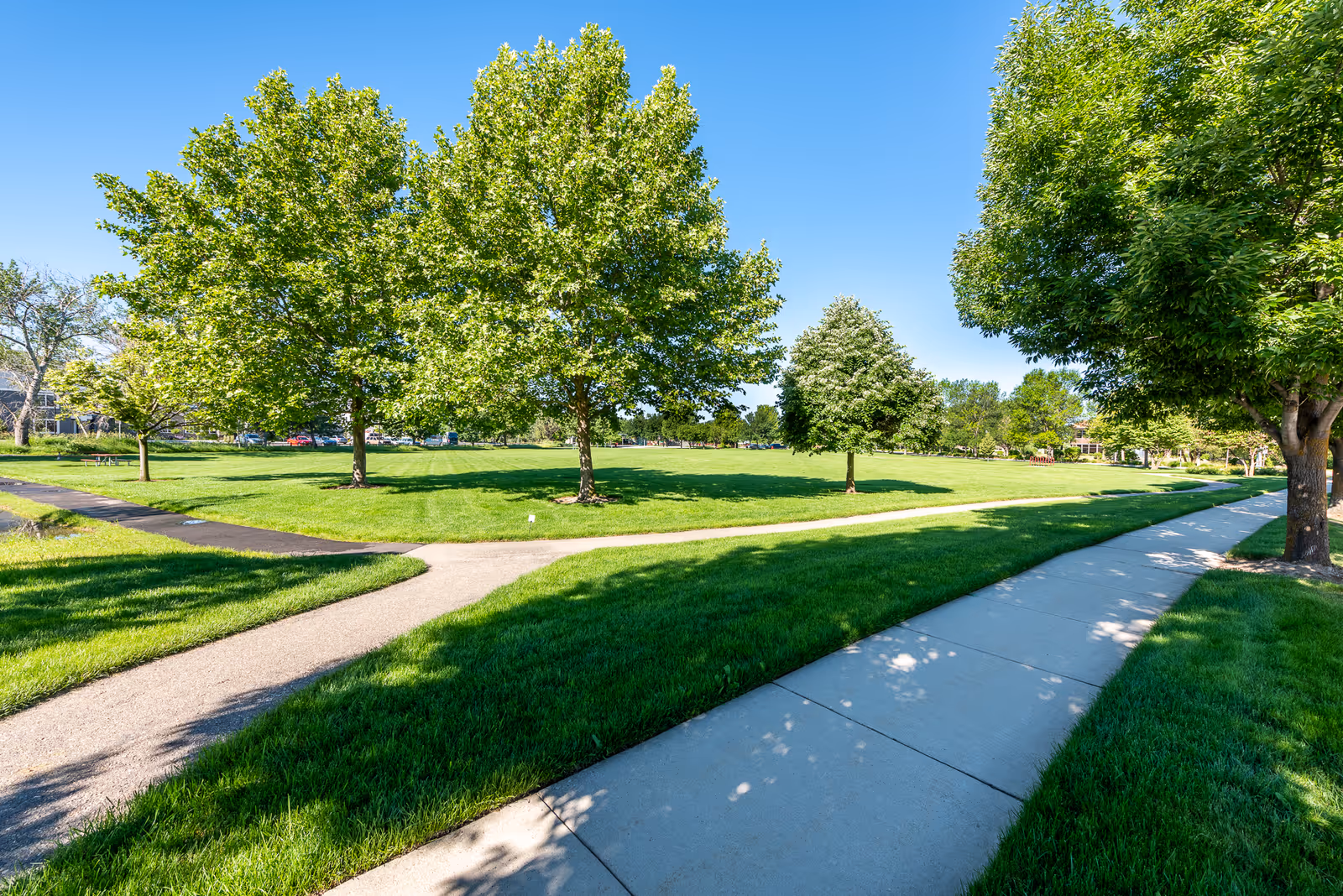 A sunny outdoor scene featuring a well-maintained grassy park area with several green leafy trees and intersecting paved walkways under a clear blue sky.