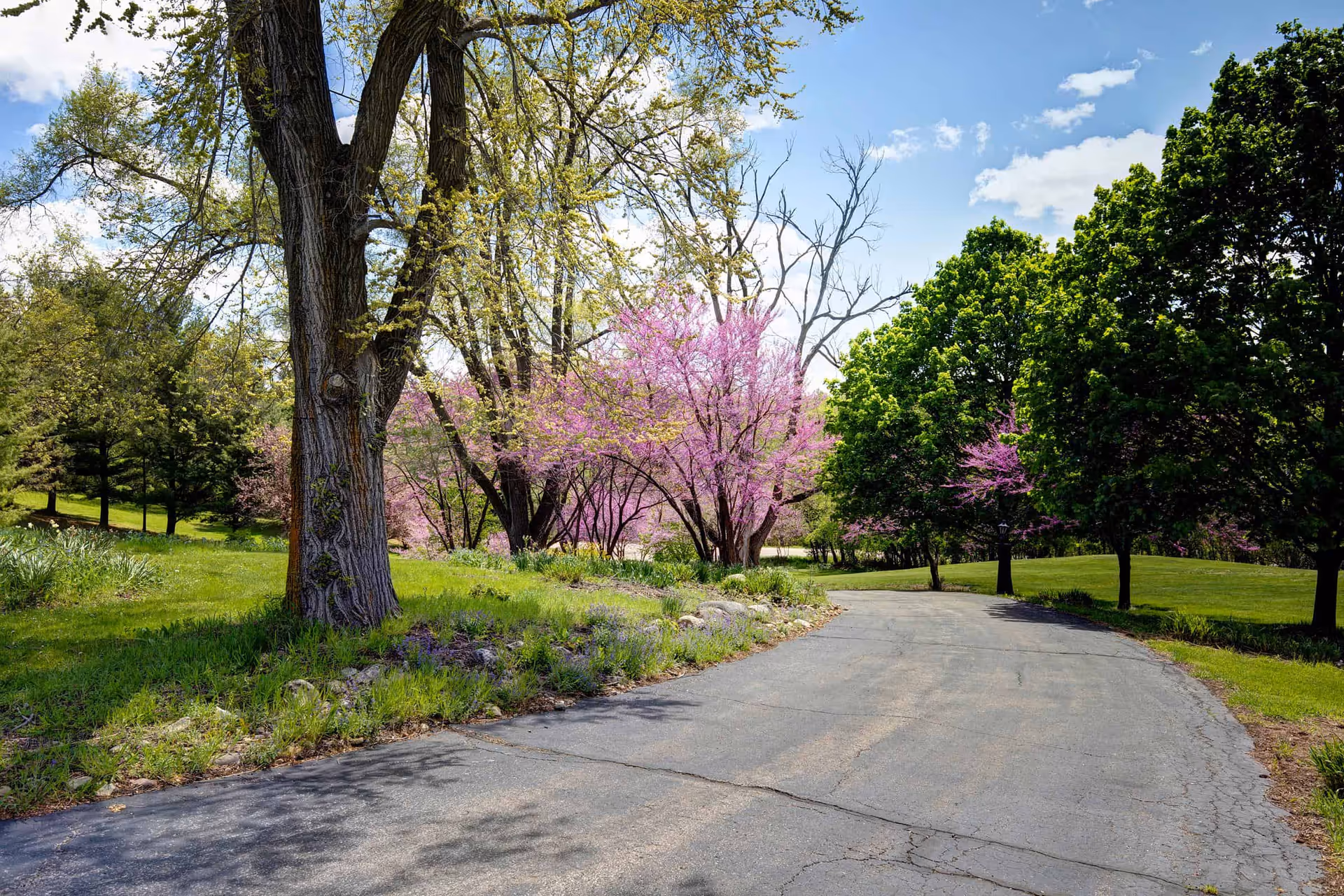 A paved pathway winding through a lush green outdoor area with large trees, some with green leaves and others with pink blossoms, under a partly cloudy blue sky.