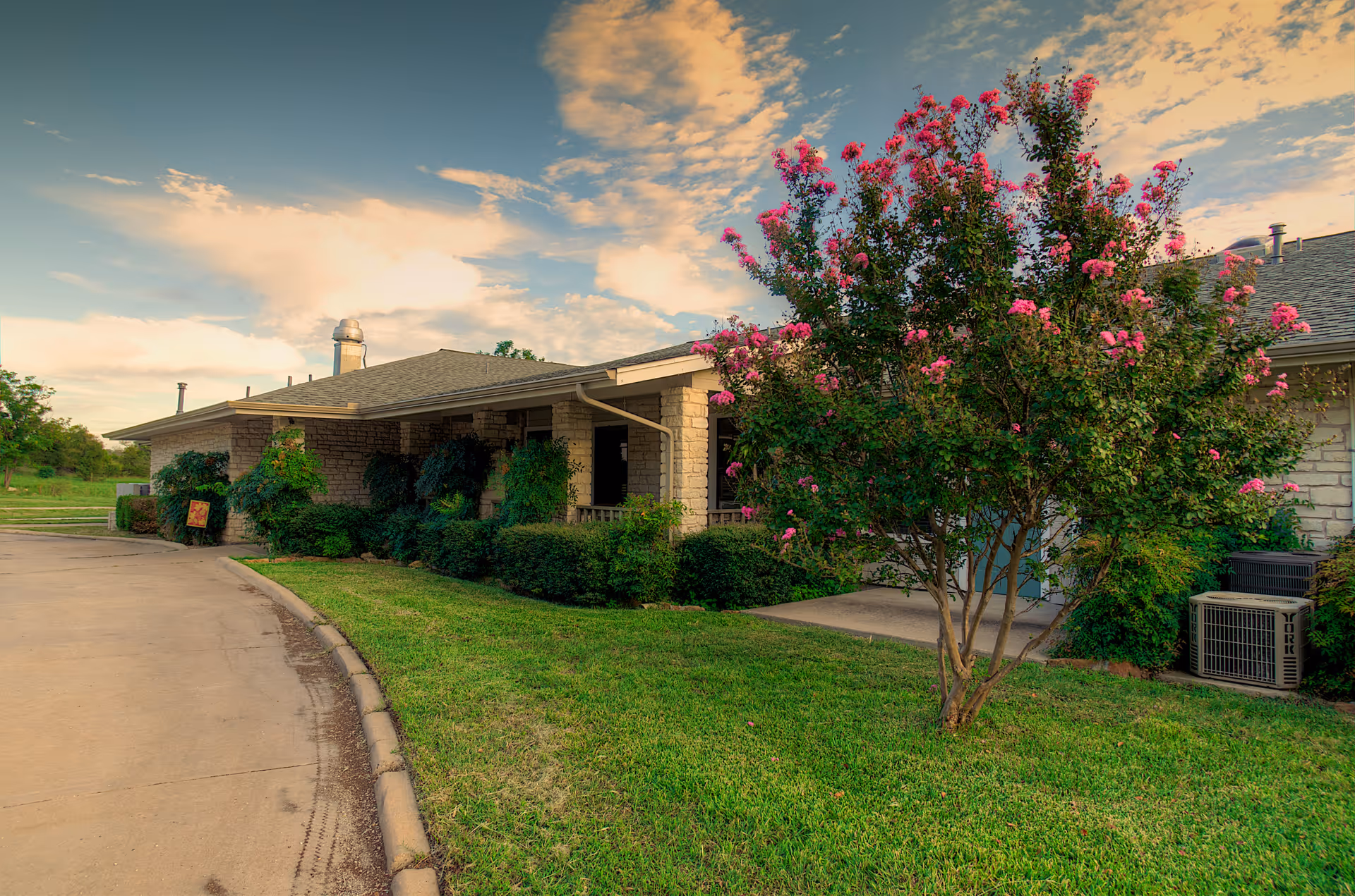 Single-story building exterior with a driveway, manicured shrubs, and a pink-flowering tree on a grassy lawn.