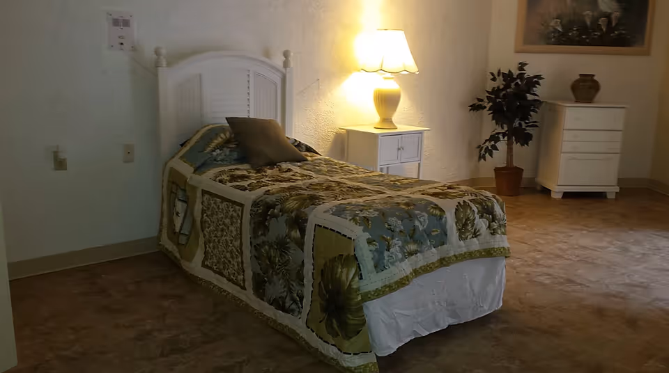 Single bed with floral quilt, bedside table and lamp in a sparsely furnished bedroom with a dresser and potted plant.