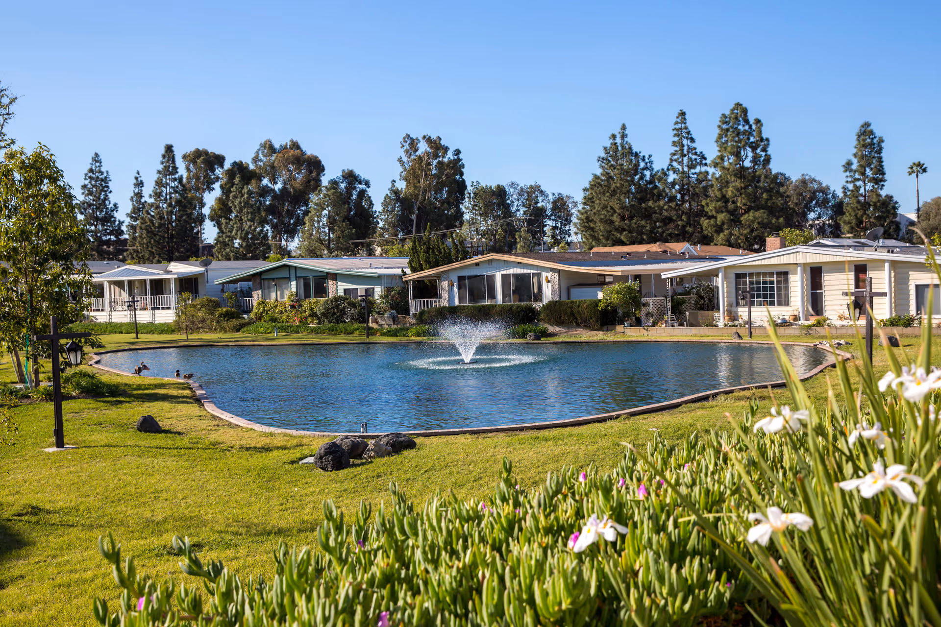 A peaceful outdoor scene at a senior living mobile home community featuring a small pond with a central water fountain, surrounded by green grass, flowering plants, and several single-story homes in the background under a clear blue sky.
