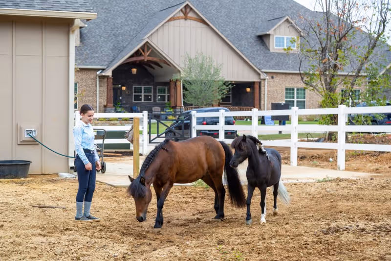 A young girl standing near two small horses in a fenced outdoor area with a large building in the background.