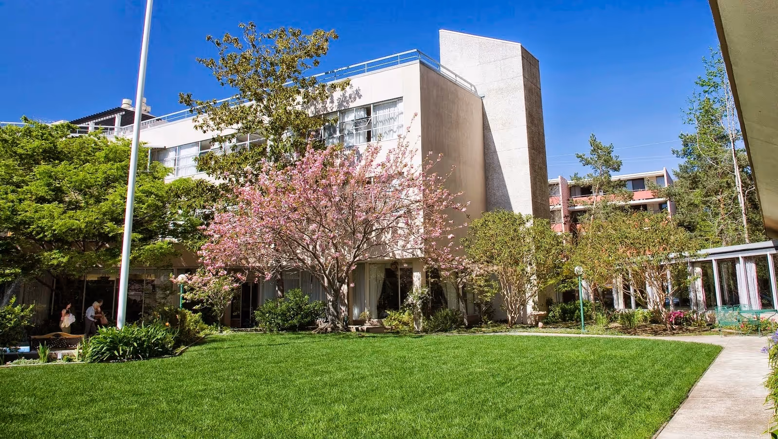 Green lawn and a pink-flowering tree in the courtyard in front of a multi-story senior living building under a blue sky.