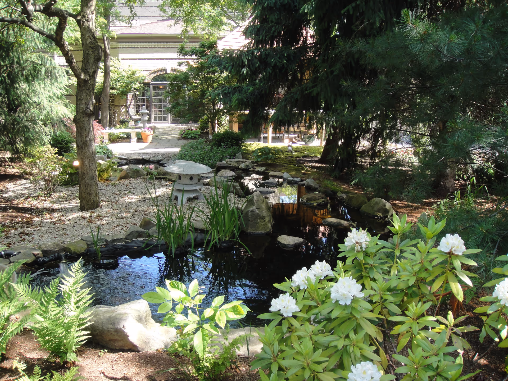A serene outdoor garden area featuring a small pond with stepping stones, surrounded by lush green plants, white flowers, and trees. In the background, there is a stone pathway leading to a building entrance with large windows and a door.