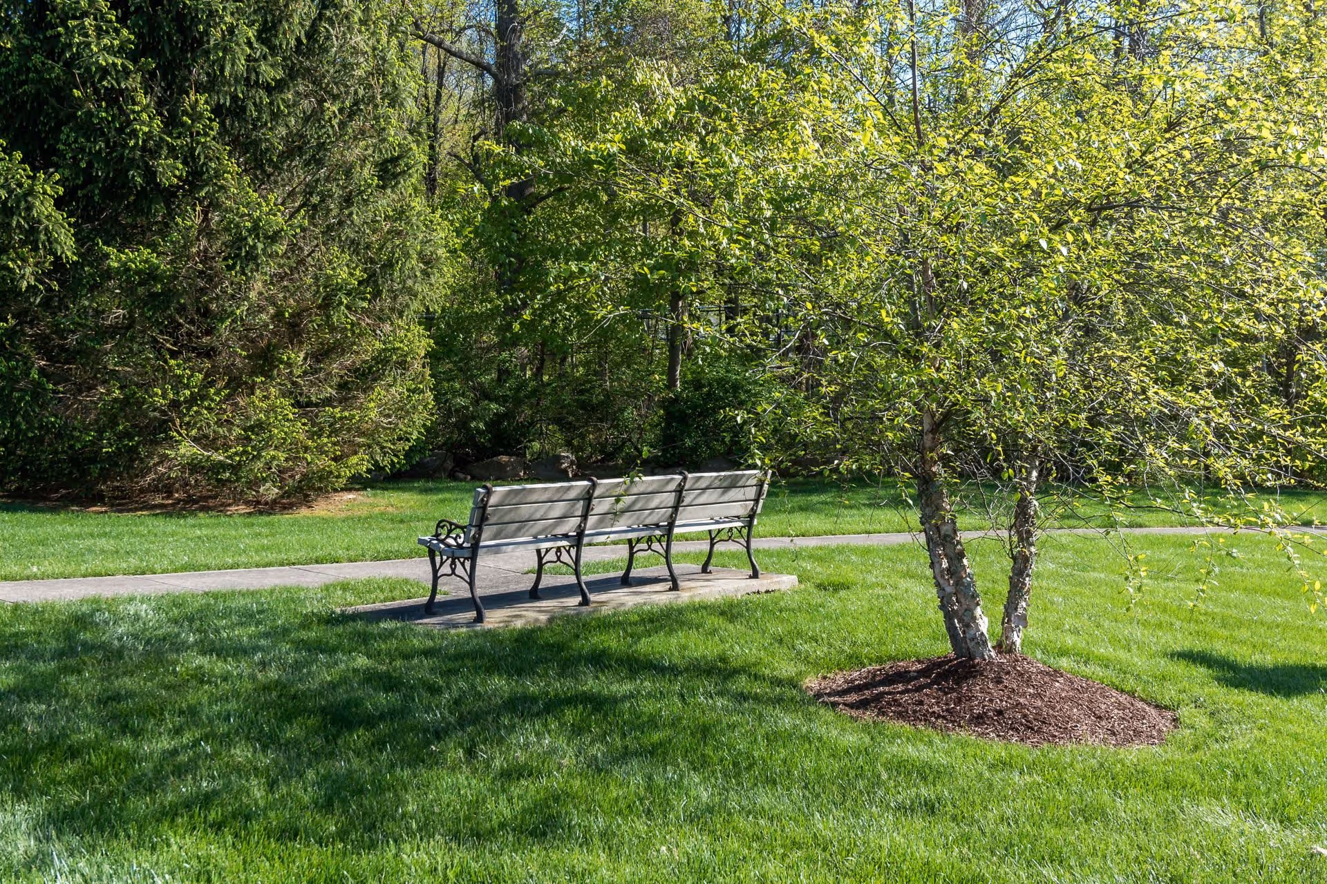A peaceful outdoor scene at Bentley Commons at Paragon Village featuring a green grassy area with a small tree and a paved walkway. Two empty benches with metal armrests and wooden slats are positioned on a concrete pad along the path. The background includes dense green foliage and tall trees under a clear sky.