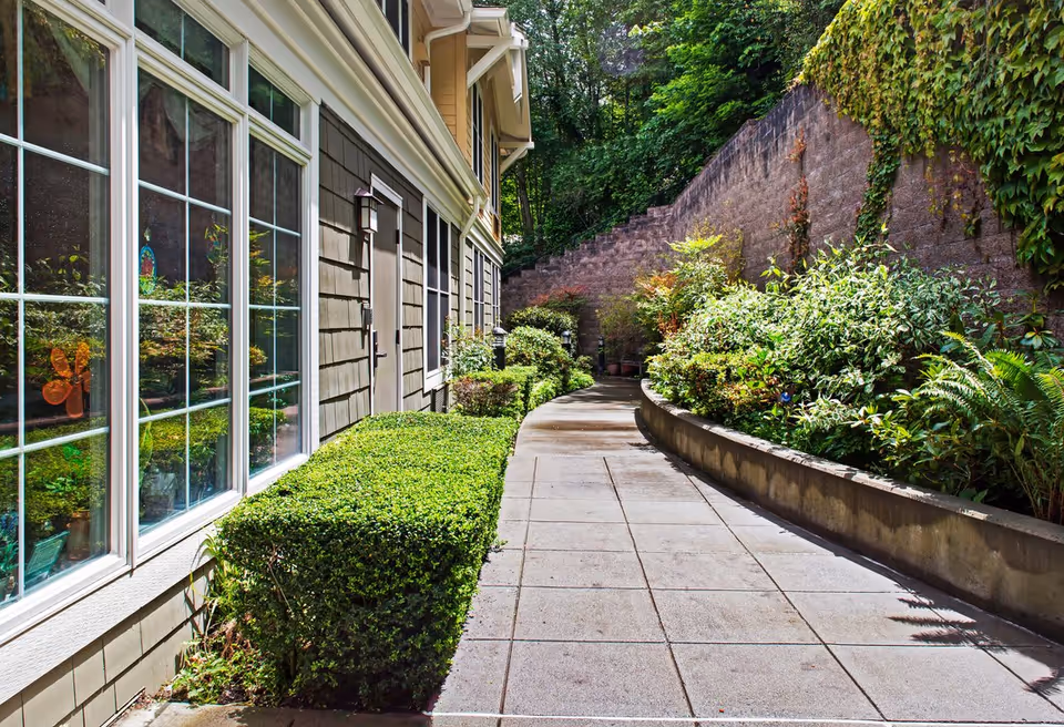 Sunlit paved walkway alongside a building with large windows, neatly trimmed hedges and lush garden beds next to a stone retaining wall.