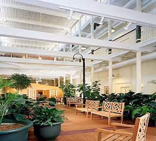 Bright indoor atrium with wooden chairs, large potted plants, and a high white-beamed ceiling with upper balconies.