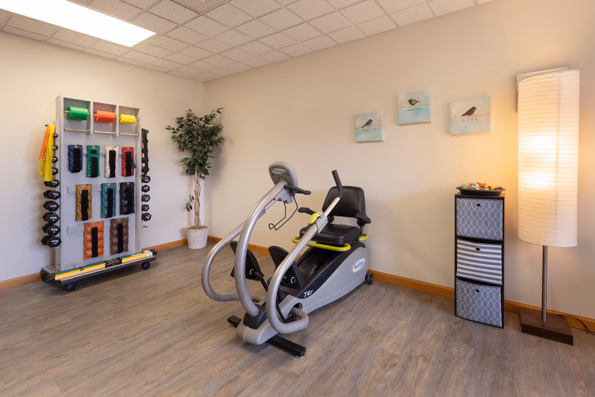Small fitness room with a recumbent exercise bike, a rack of weights and resistance bands, a floor lamp, and wall art.