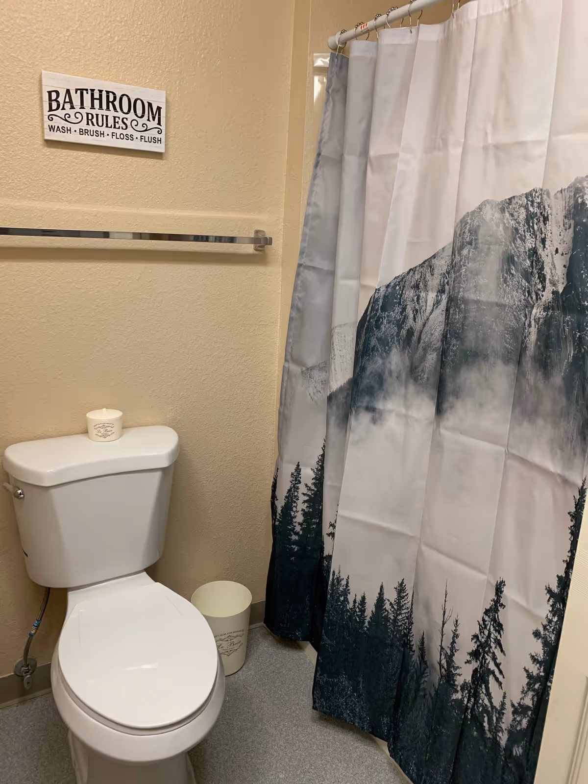 A bathroom with a white toilet, a small white trash can, and a shower curtain featuring a mountain and forest design. Above the toilet is a sign that reads 'BATHROOM RULES WASH BRUSH FLOSS FLUSH'.