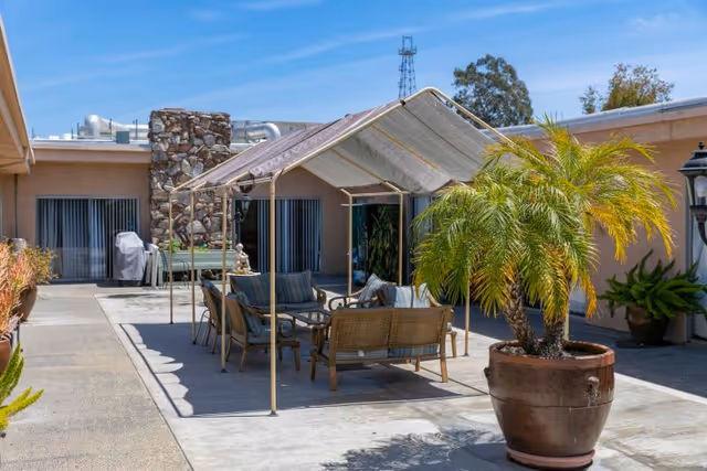 Outdoor patio area with a canopy providing shade over a seating arrangement consisting of chairs and a bench. There is a large potted palm plant in the foreground and a stone chimney attached to the building in the background. The sky is clear and blue.