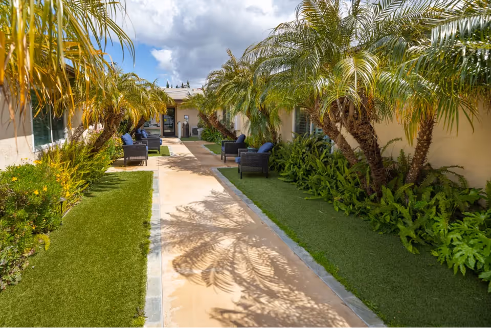 Outdoor walkway lined with palm trees and green plants on both sides, with several black wicker chairs with blue cushions placed along the path. The sky is partly cloudy and the walkway leads to a building entrance in the background.