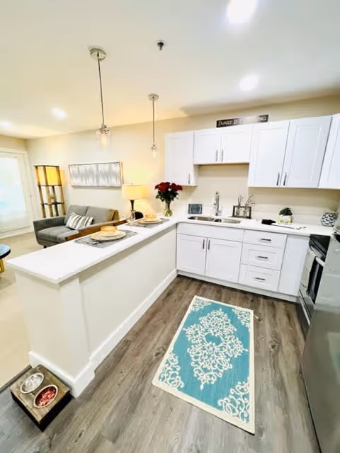 Bright and modern kitchen area with white cabinets, a sink, and stainless steel appliances. A blue and white patterned rug lies on the wooden floor. A counter with place settings separates the kitchen from a living area with a gray sofa, a floor lamp, and wall art. Two pendant lights hang above the counter. A pet feeding station with bowls is on the floor near the counter.