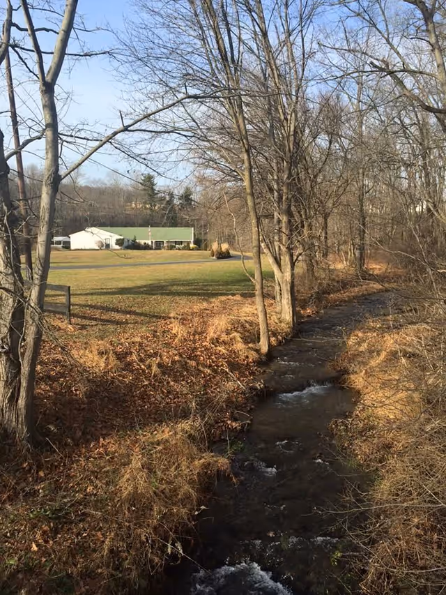 A small creek flowing through a wooded area with leafless trees and dry grass on its banks. In the background, there is a large grassy field with a white building that has a green roof under a clear blue sky.