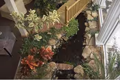 Indoor garden area with a small water feature surrounded by various plants and rocks, adjacent to a wooden fence and a glass door leading outside.