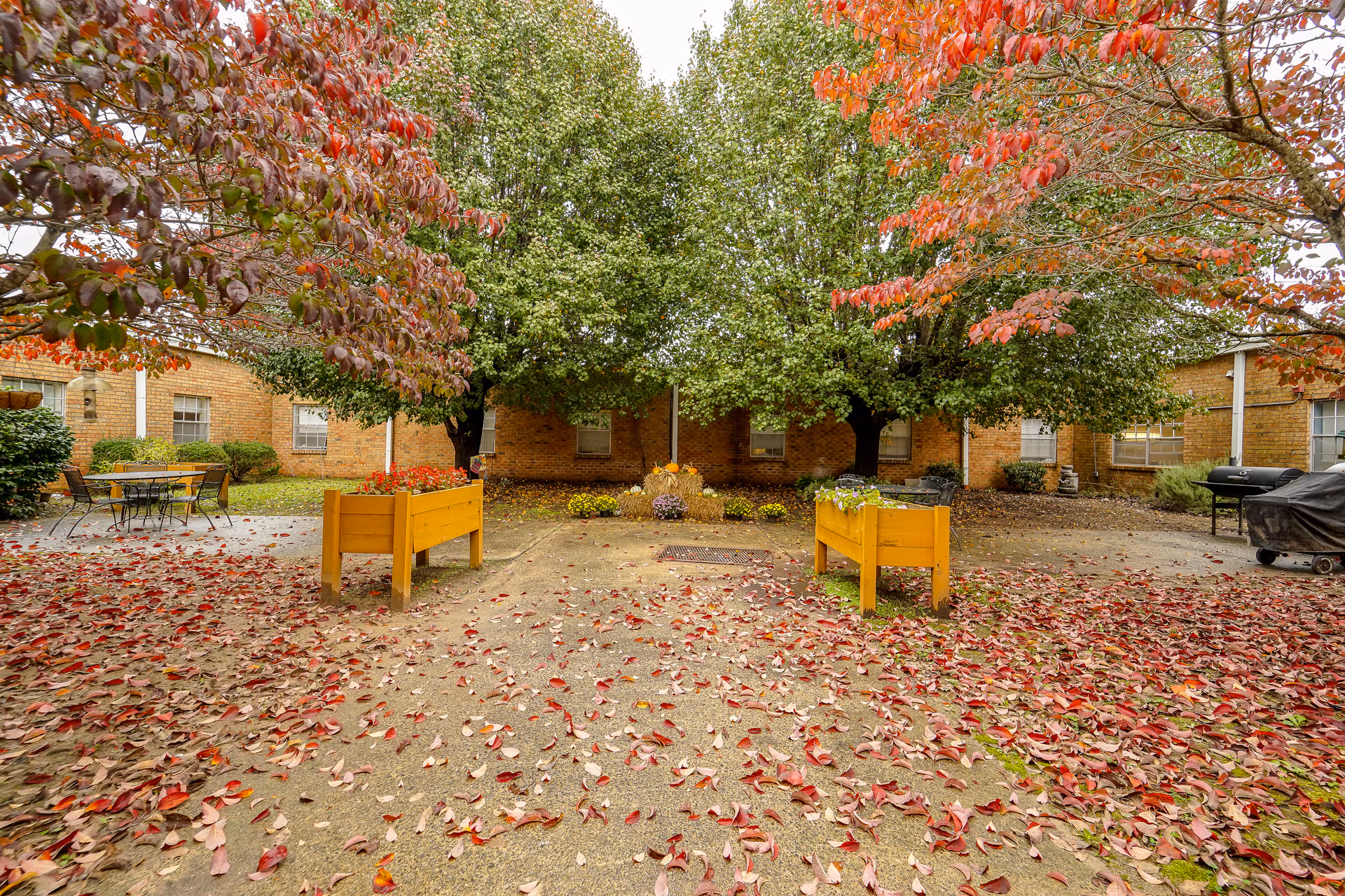 A brick courtyard with two yellow raised planters, trees shedding red leaves covering the ground, and surrounding building facades.