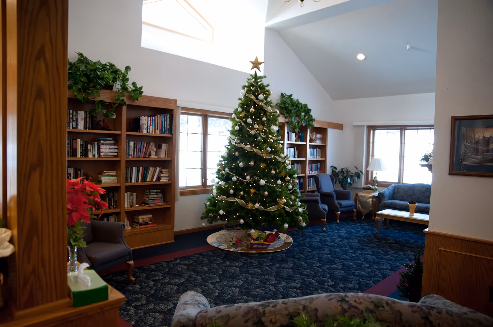 A cozy living room decorated for Christmas with a large Christmas tree adorned with white and gold ornaments and a star on top. The room features wooden bookshelves filled with books, several armchairs, a sofa, a coffee table, and large windows letting in natural light. There are also some green plants and a poinsettia flower on a side table.