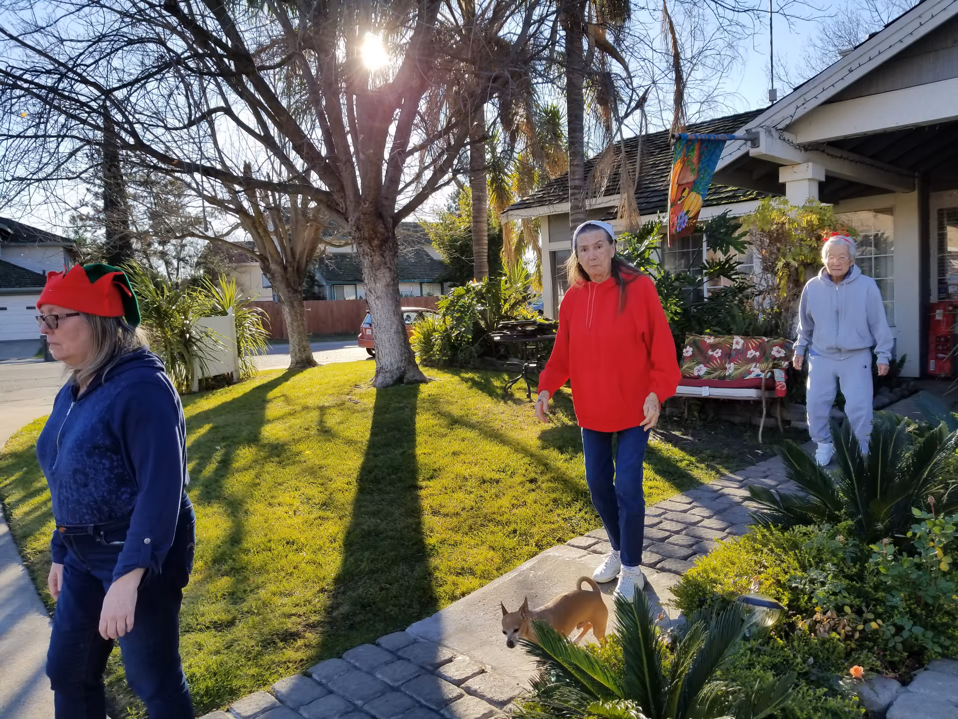 Three elderly women outside a residential building on a sunny day. One woman is wearing a red elf hat and a blue jacket, another is in a red hoodie walking on a stone path with a small dog, and the third woman is in a gray hoodie standing near the entrance of the building. There are trees, plants, and a bench with cushions in the garden area.