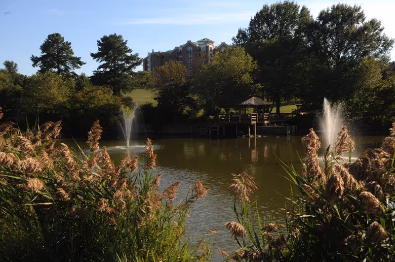 A peaceful outdoor scene featuring a pond with two water fountains, surrounded by tall grasses and trees. In the background, there is a gazebo on a wooden deck and a multi-story building partially visible behind the trees under a clear blue sky.