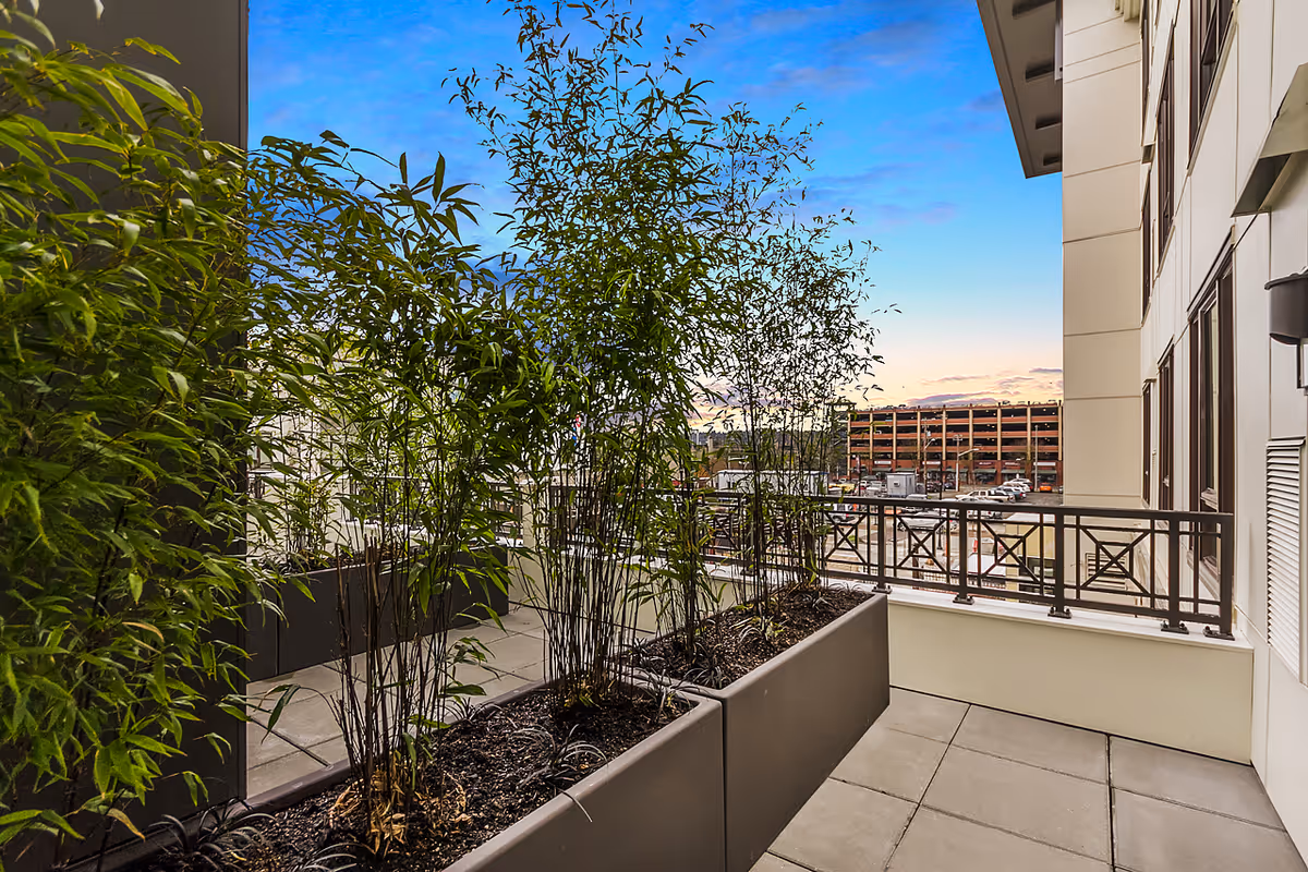 Outdoor balcony area with large rectangular planters containing tall green plants. The balcony has a metal railing and overlooks a parking structure and other buildings under a blue sky with some clouds at sunset.