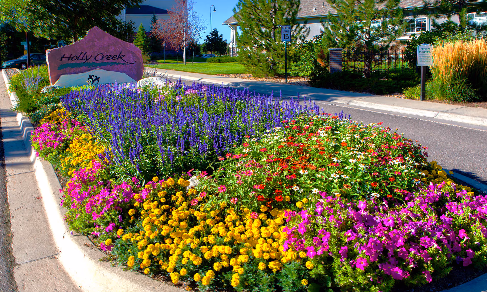A vibrant flower bed with various colorful flowers including yellow, purple, red, and pink blooms, situated beside a road. Behind the flower bed is a large stone sign that reads 'Holly Creek'. The background shows a residential area with houses, trees, and a speed limit sign.
