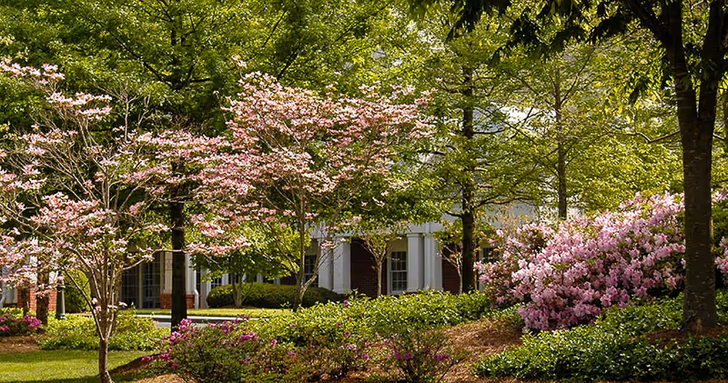 Landscaped garden with flowering trees and shrubs in front of a brick building entrance.