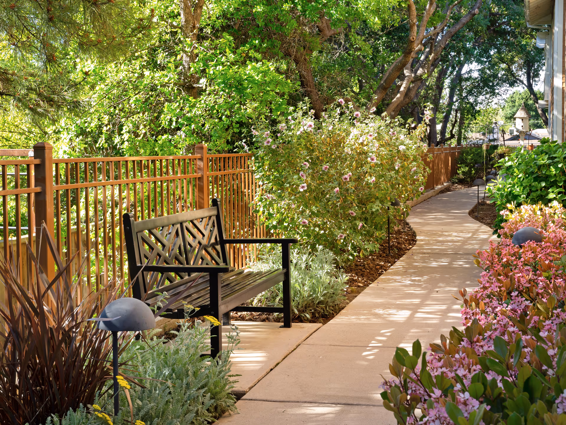 Sunlit paved garden walkway lined with flowering shrubs, a wooden bench, and a wooden fence.