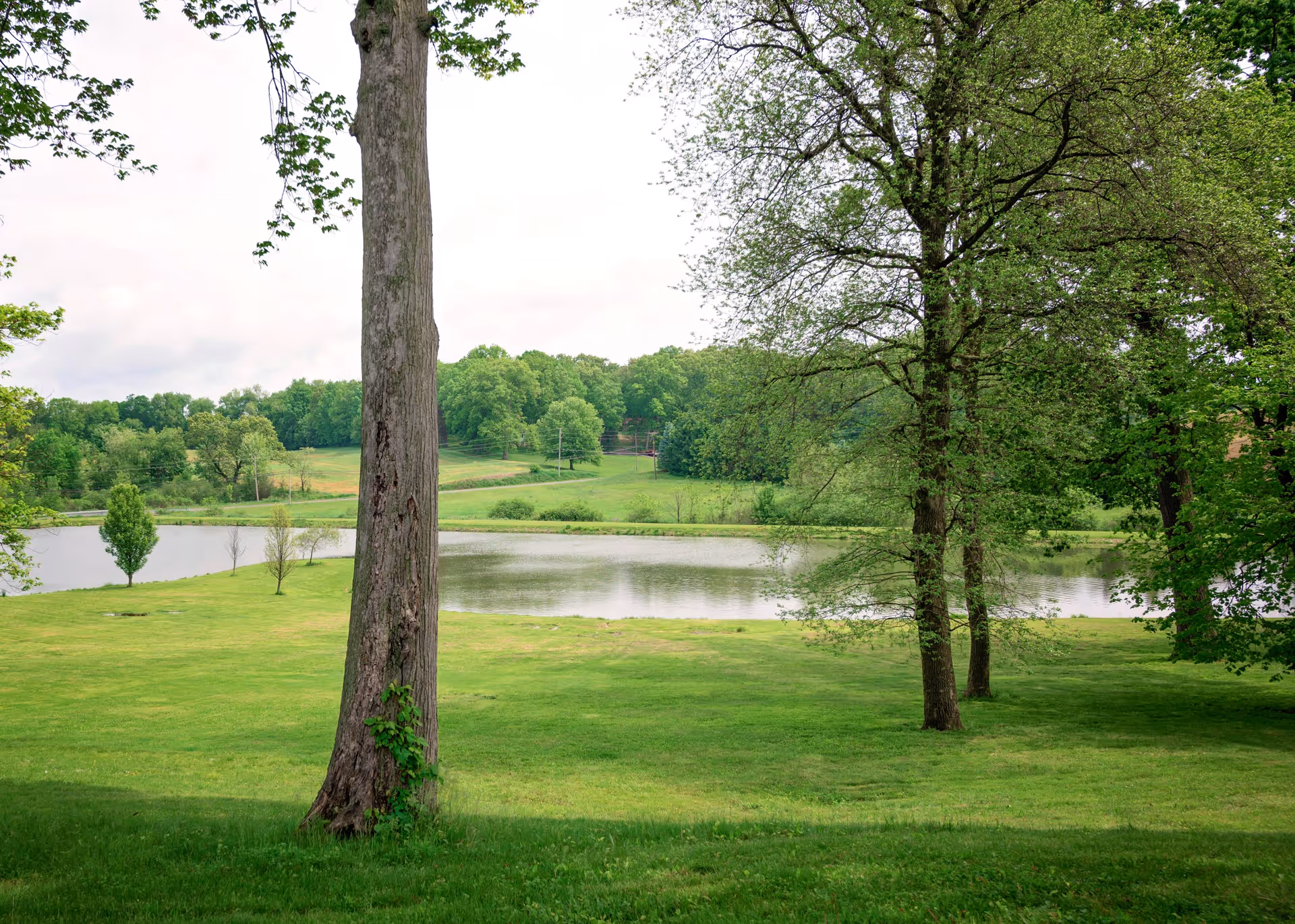 A peaceful outdoor scene featuring a grassy area with several trees and a calm pond in the background, surrounded by more trees and greenery under a cloudy sky.