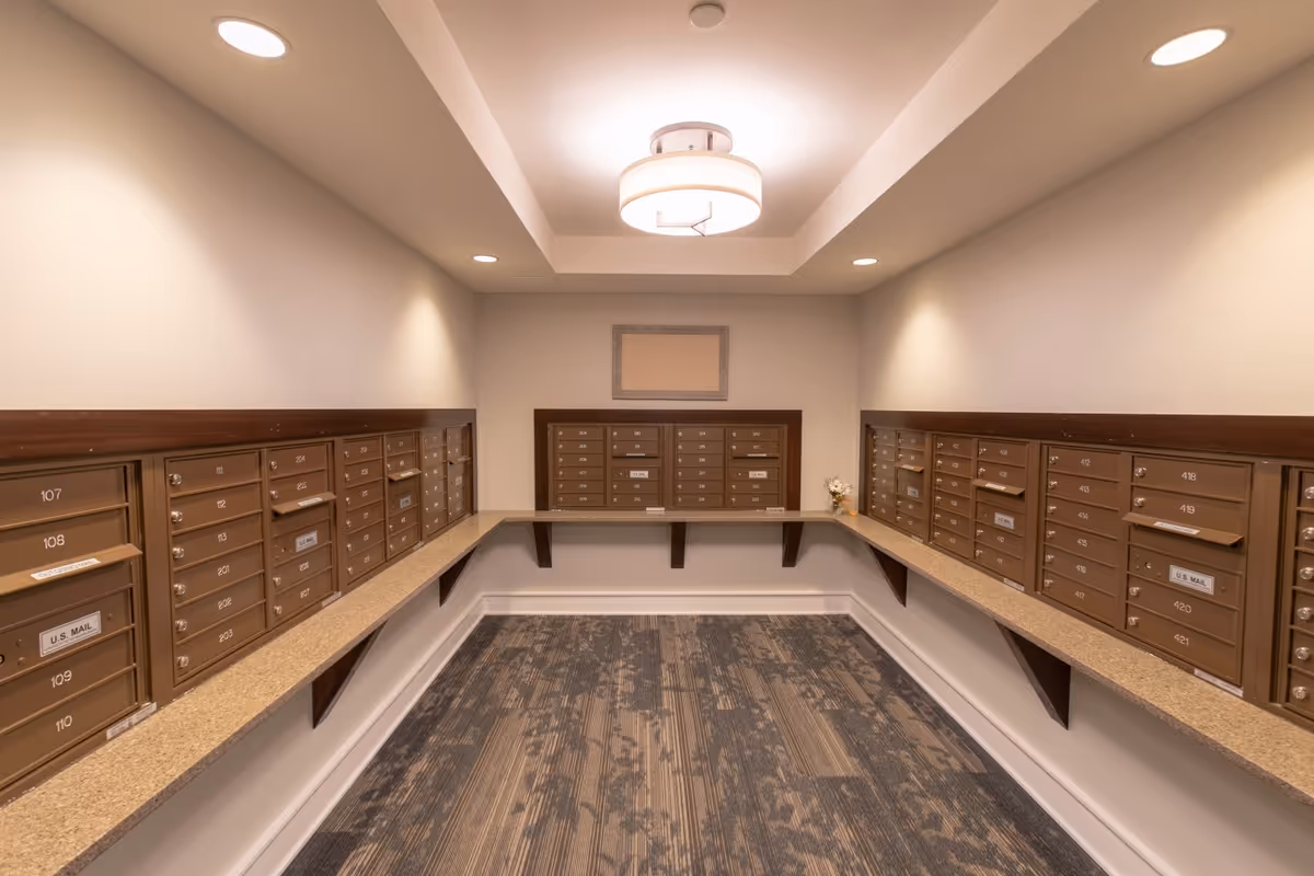 Interior view of a mailroom with multiple brown mailboxes mounted on three walls. The room has a patterned carpet floor, beige walls, and a modern ceiling light fixture. There is a small flower arrangement on the right side countertop.