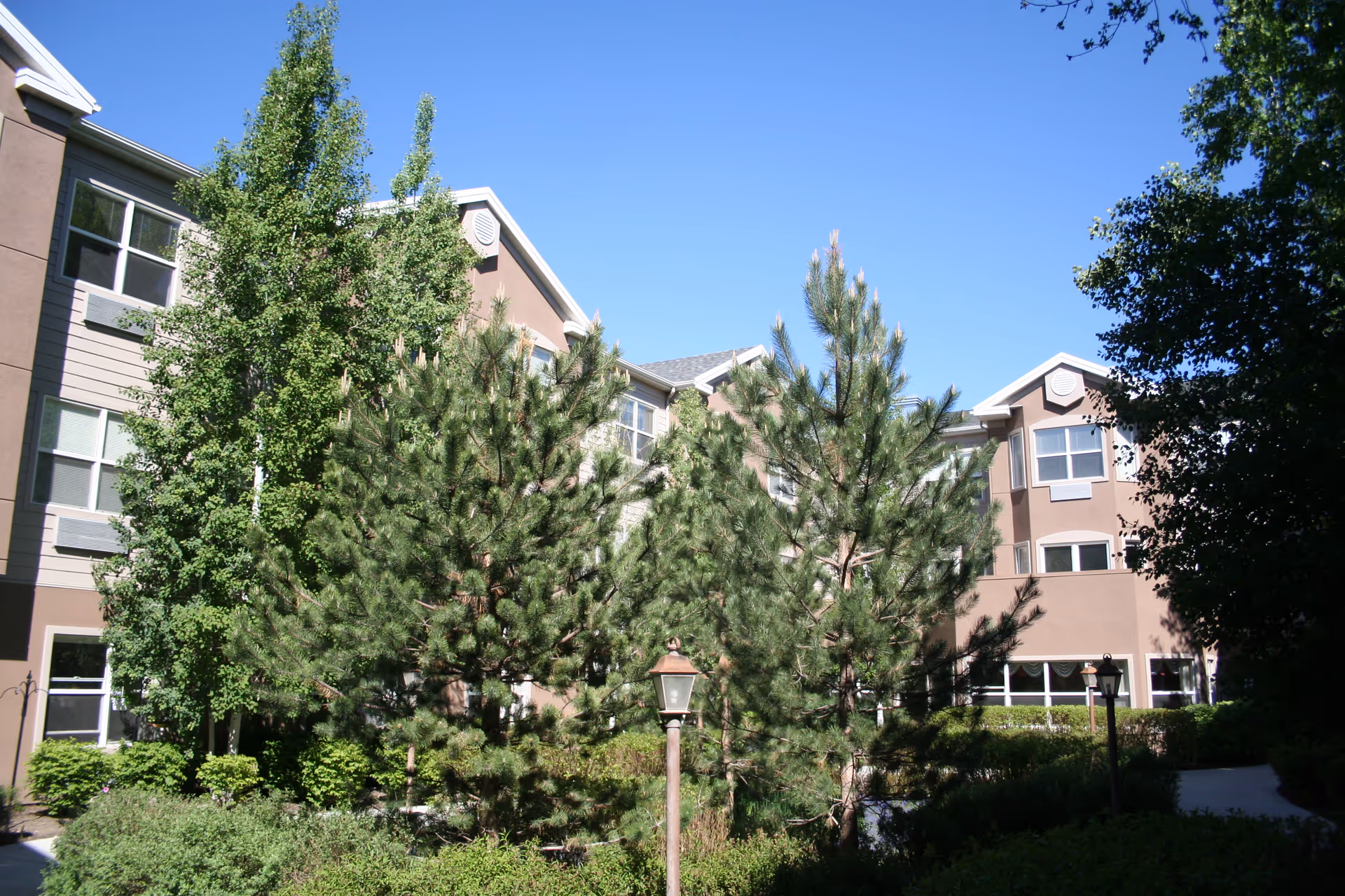 Exterior view of a multi-story residential building partially obscured by tall green trees and shrubs under a clear blue sky.