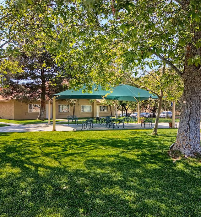 A shaded outdoor seating area with metal tables and chairs under a green canopy surrounded by lush green grass and large trees, with a beige building and parked cars visible in the background.