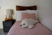 A neatly made single bed with a wooden headboard, white pillows, a pink cushion, and a pink bedspread. A white plush seal toy is placed on the bed. Next to the bed is a black nightstand with a lamp featuring a white shade and an amber-colored base.