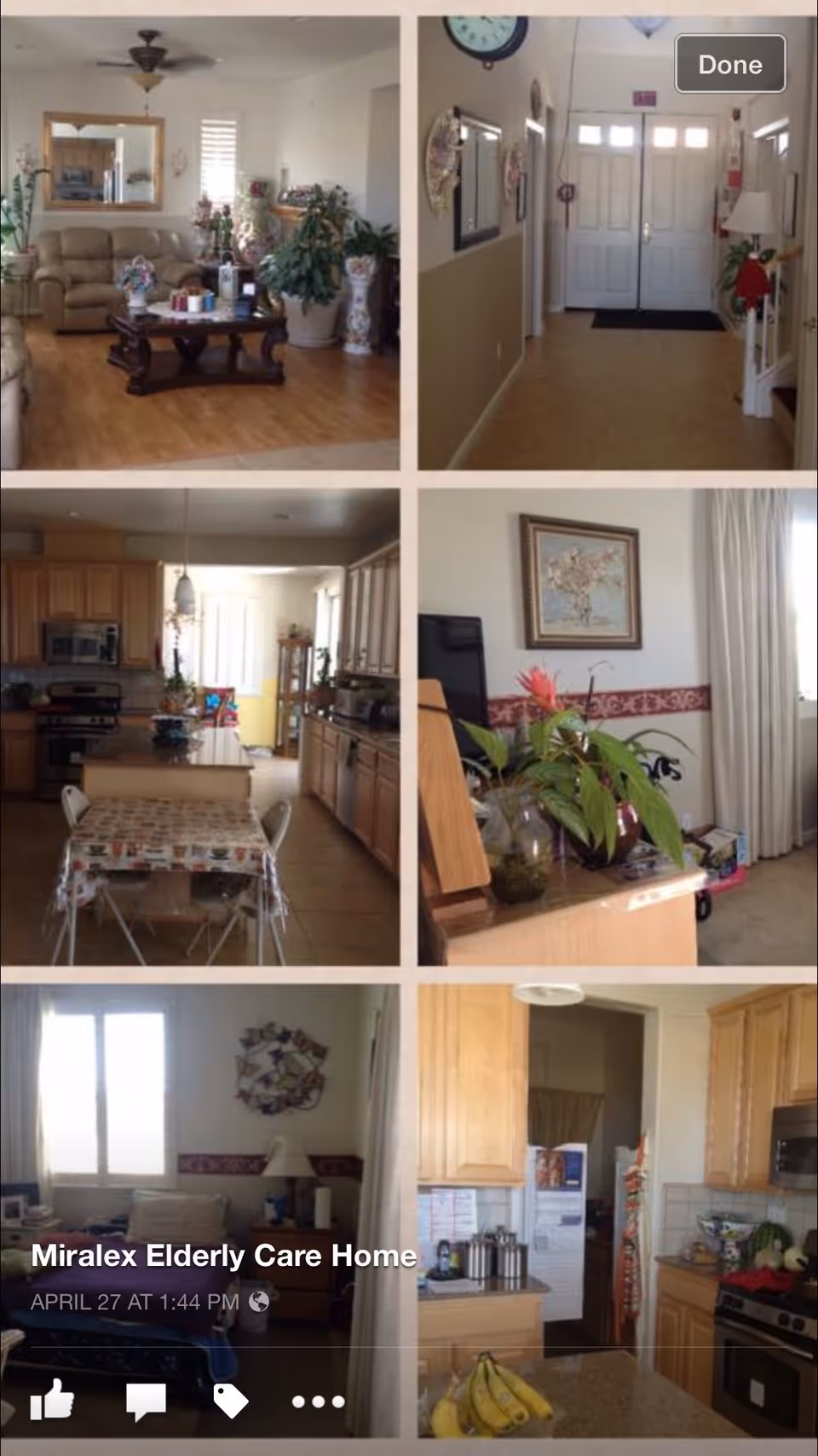 Collage of six images showing different interior areas of Miralex Elderly Care Home including a living room with beige sofas and plants, a hallway with double doors, a kitchen with wooden cabinets and dining table, a corner with a plant and framed artwork, a bedroom with a window and bedside table, and another kitchen area with bananas on the counter.