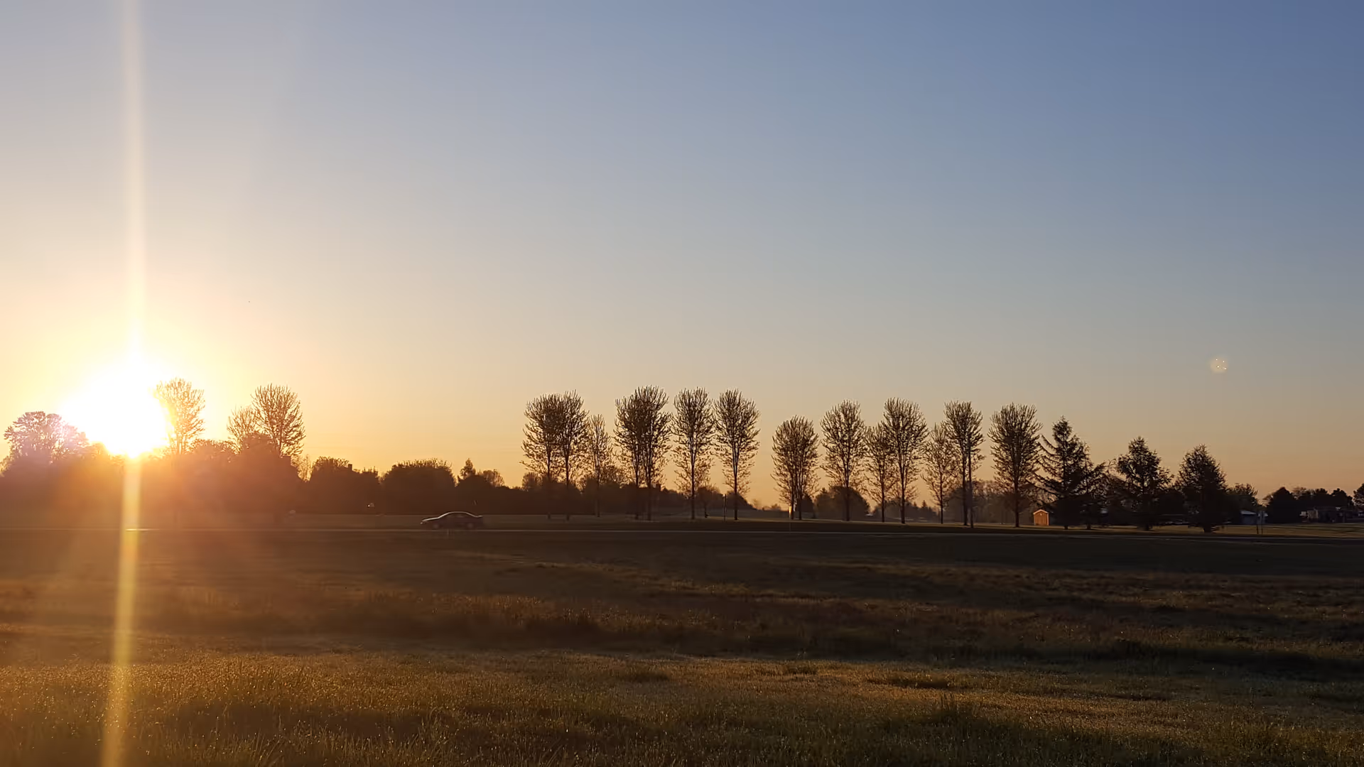 Sunrise or sunset over a grassy field with a row of tall trees in the distance and a car driving on a road behind the field under a clear sky.