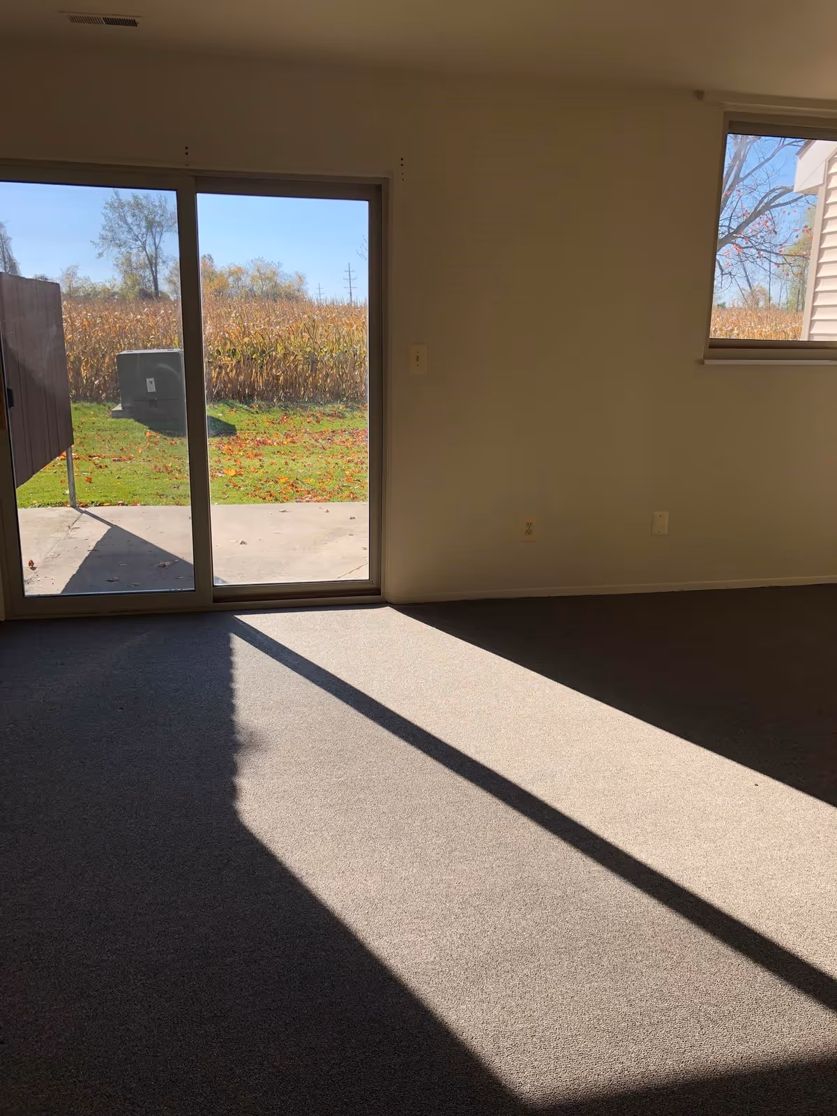 Empty room with carpeted floor, beige walls, a sliding glass door leading outside, and a small window on the right side. Sunlight casts shadows on the floor from the glass door.