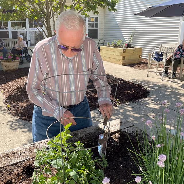 An older adult gardening in a raised planter in a sunny outdoor courtyard with other residents and raised beds visible.