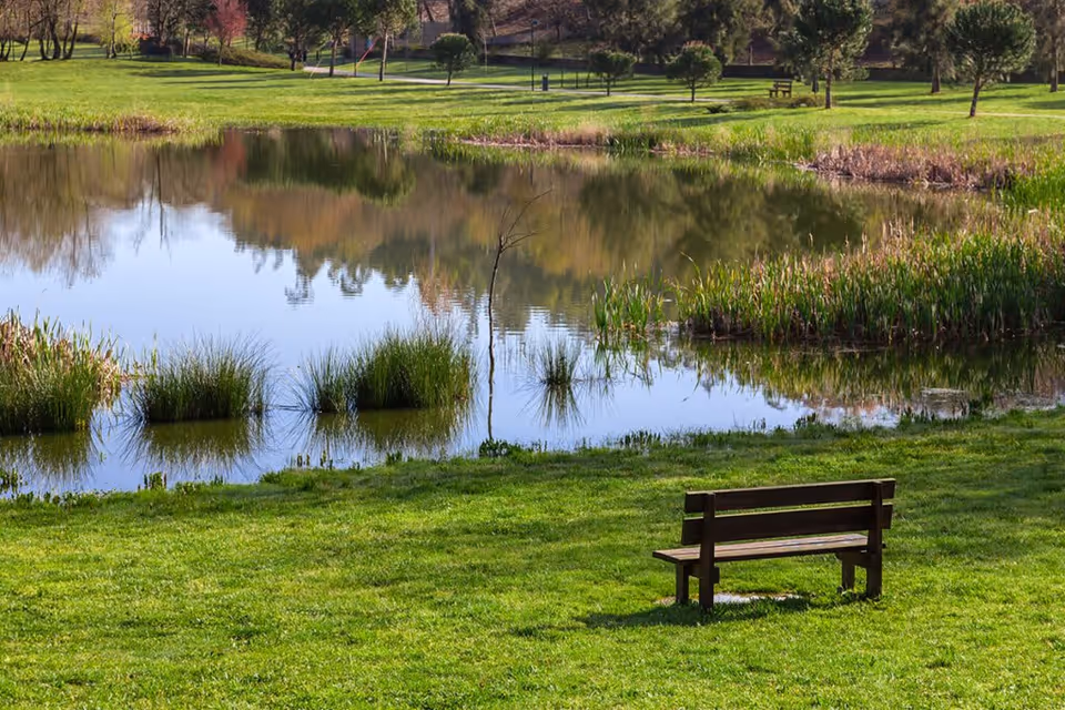 A peaceful outdoor scene featuring a small pond surrounded by green grass and trees. A wooden bench is positioned on the grass near the pond, inviting visitors to sit and enjoy the view.