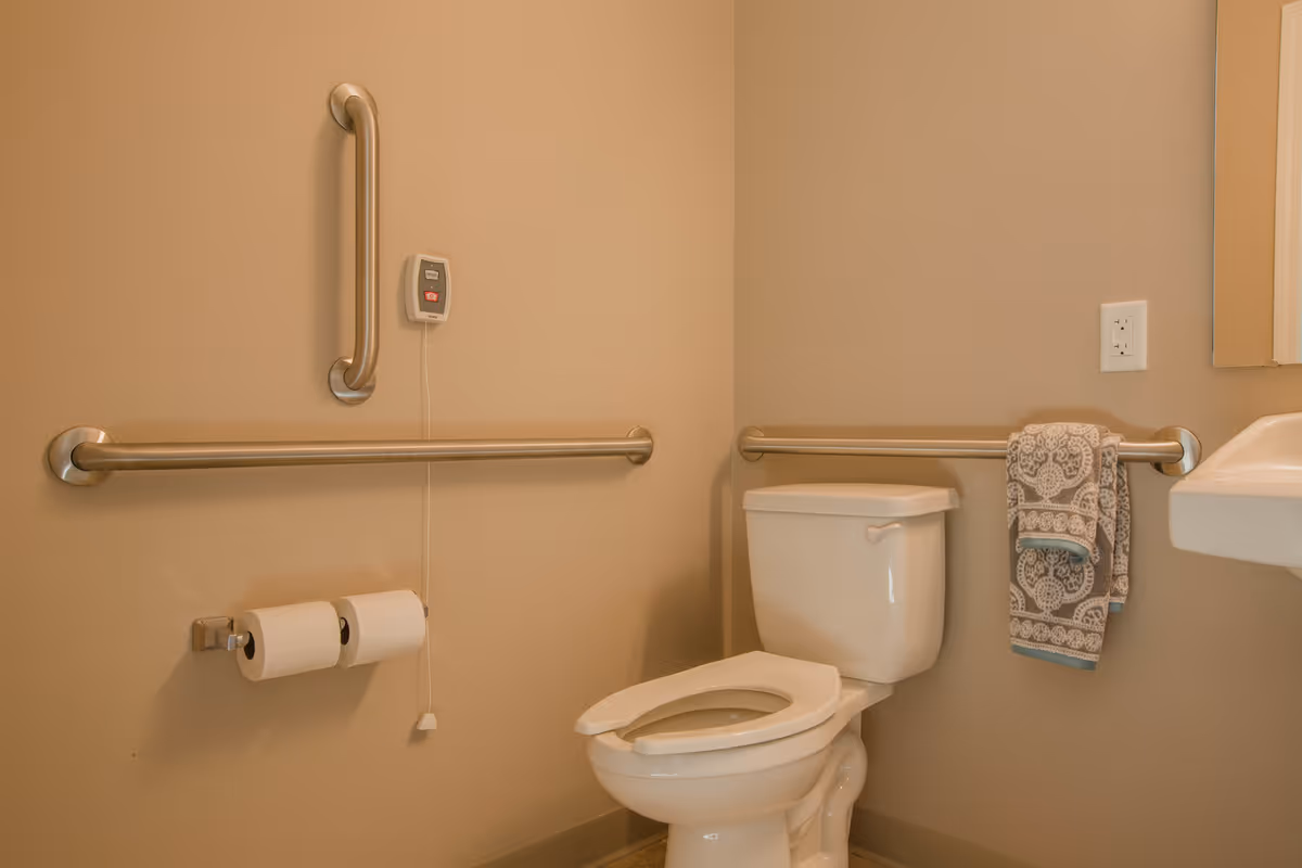 Accessible bathroom with a toilet, grab bars, a double toilet-paper holder, and a towel hanging beside a sink.
