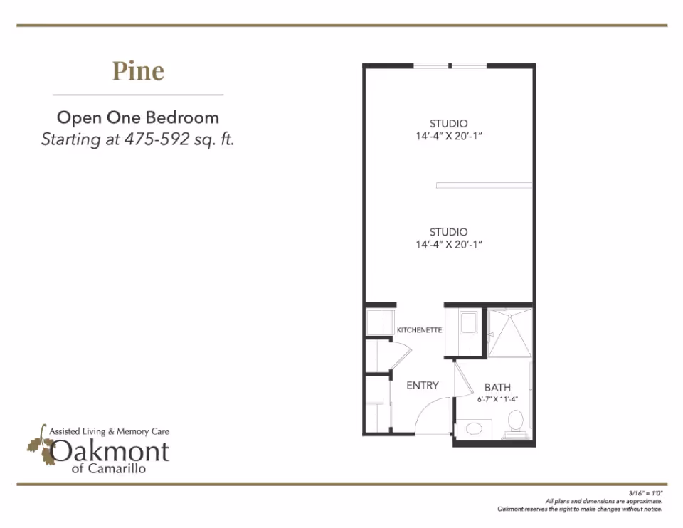 Floor plan labeled 'Pine' showing an open one-bedroom studio layout with a kitchenette, entry, and bath.
