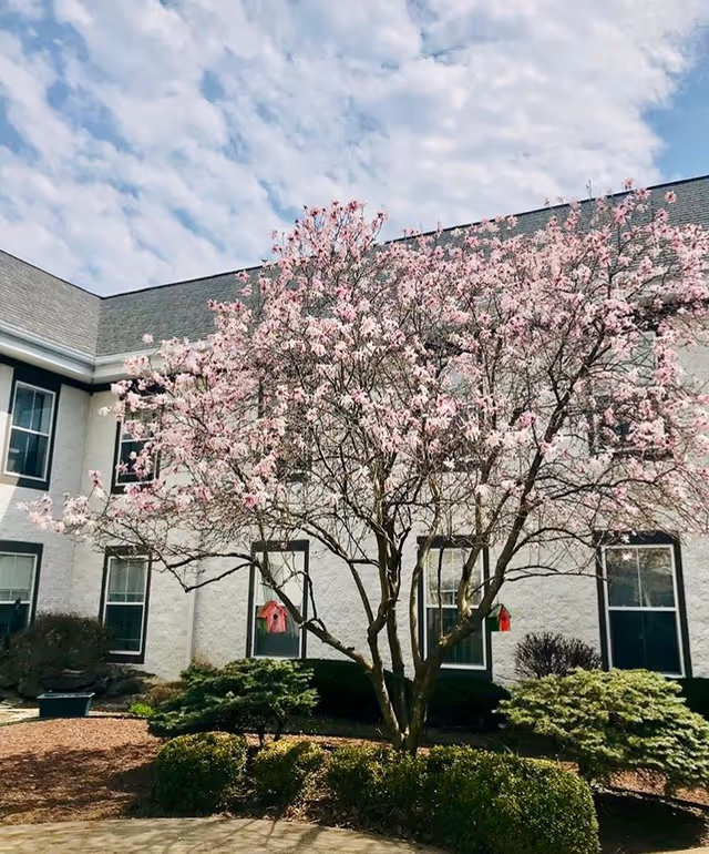 A pink-blossomed tree stands in front of a two-story light-colored building with windows and landscaped shrubs under a partly cloudy sky.