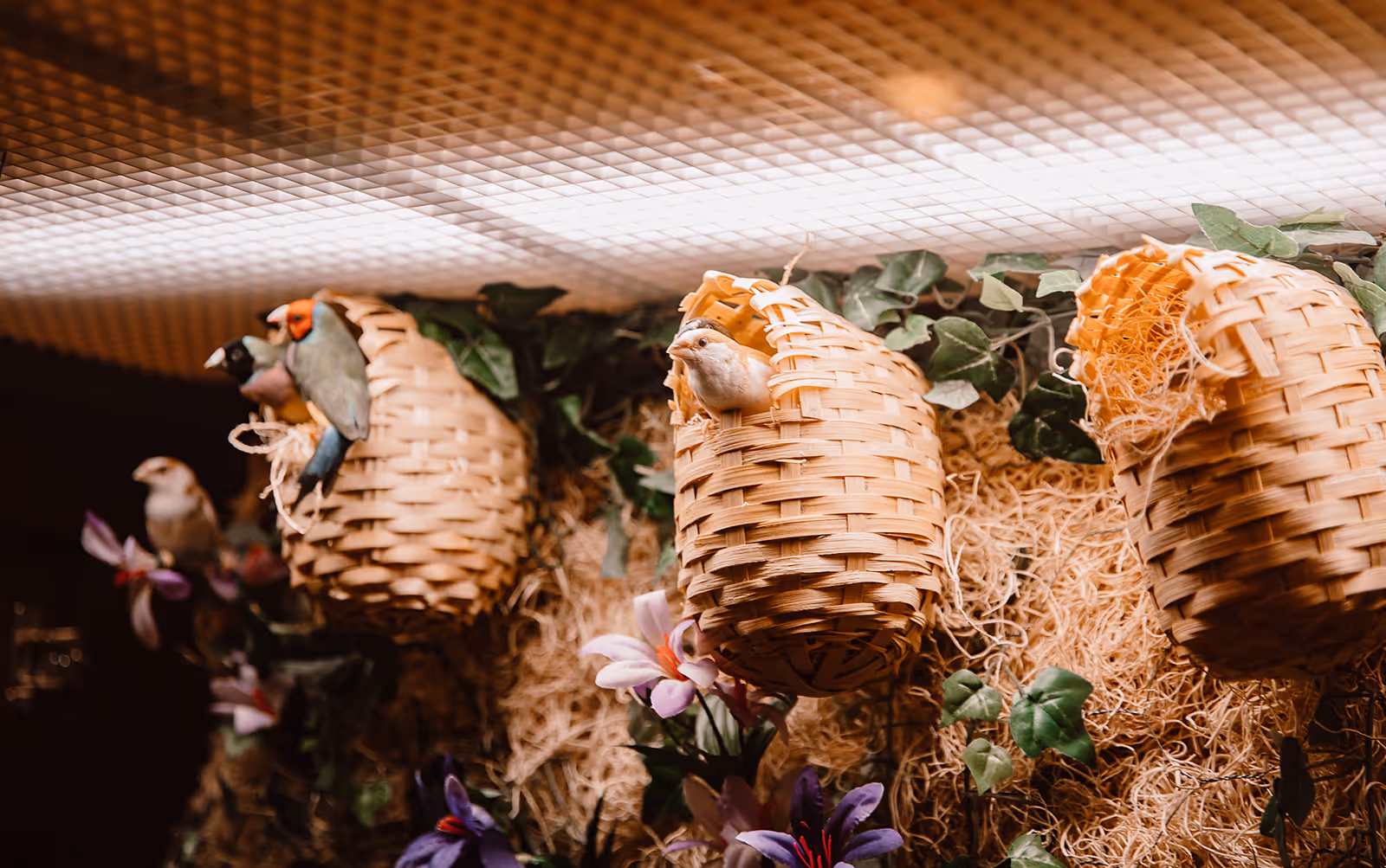 Wicker bird nests with small decorative birds, greenery, and flowers arranged on a wall under warm lighting.